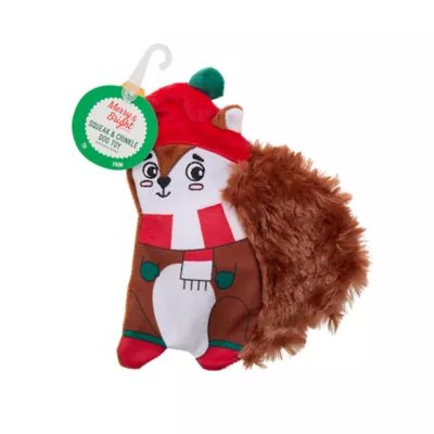 Product Merry & Bright Squirrel Flattie Dog Toy