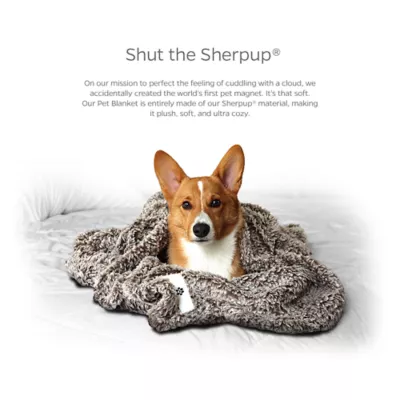Product Pet Parents Pet Blanket Chocolate