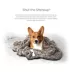 Pet Parents® Pet Blanket image thumbnail 2