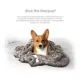 Product Pet Parents Pet Blanket Chocolate
