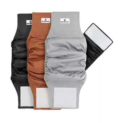 Pet Parents® Dog Belly Band, Natural - Includes 3 Belly Bands, 1 Extendrs® - Image 1