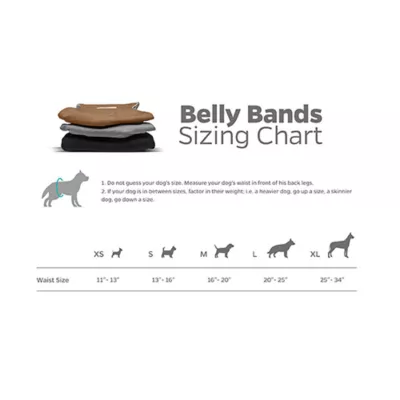 Pet Parents® Dog Belly Band, Natural - Includes 3 Belly Bands, 1 Extendrs® - Image 8