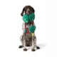 Product Merry & Bright Christmas Tree Rope Dog Toy