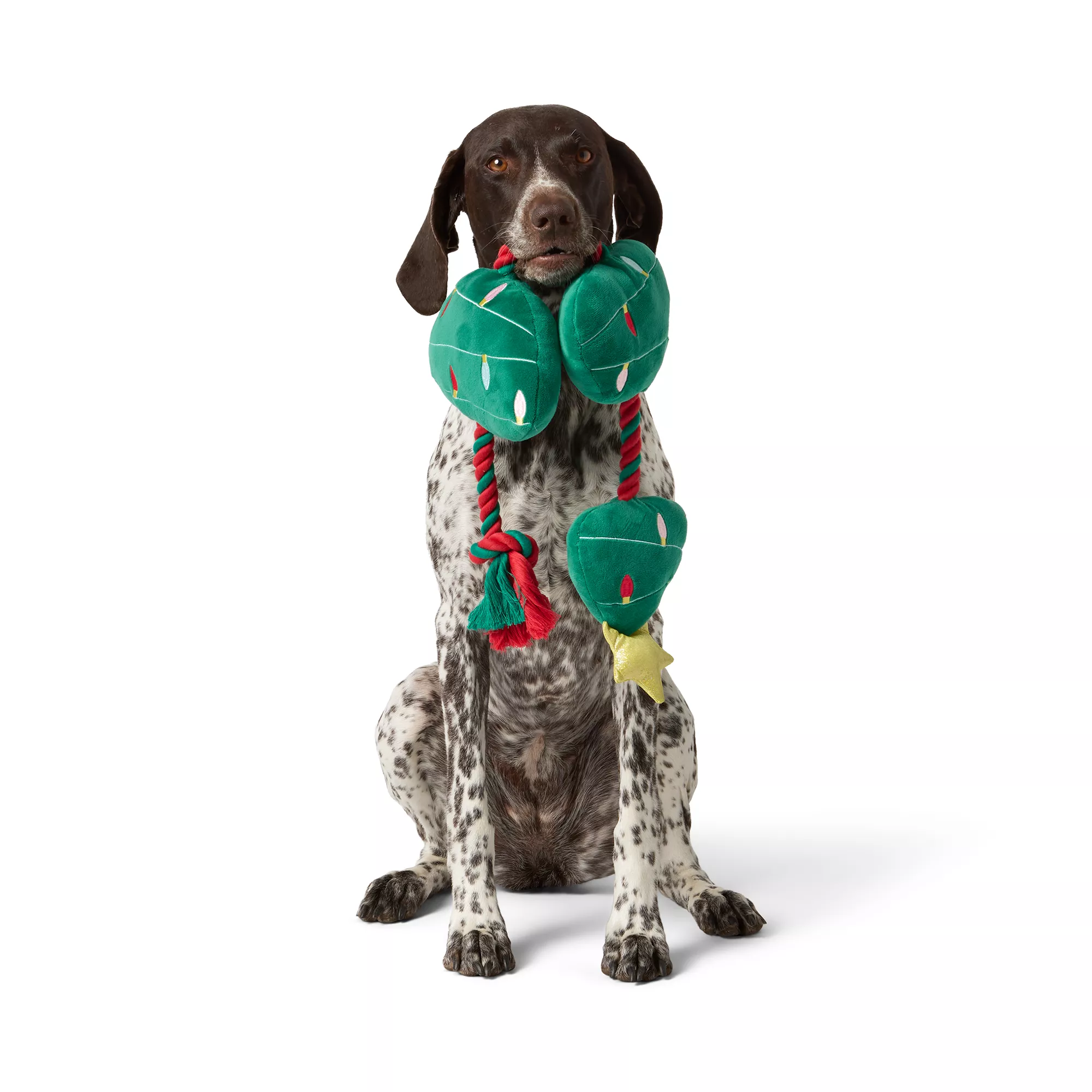 Merry & Bright&trade; Christmas Tree Rope Dog Toy