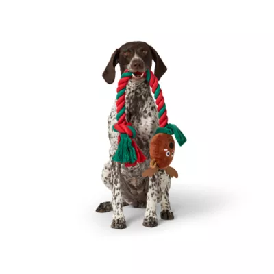 Product Merry & Bright Reindeer Rope Dog Toy