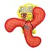DuraForce Boomerang Dog Toy image thumbnail 5