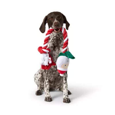 Product Merry & Bright Santa Rope Dog Toy