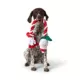 Product Merry & Bright Santa Rope Dog Toy