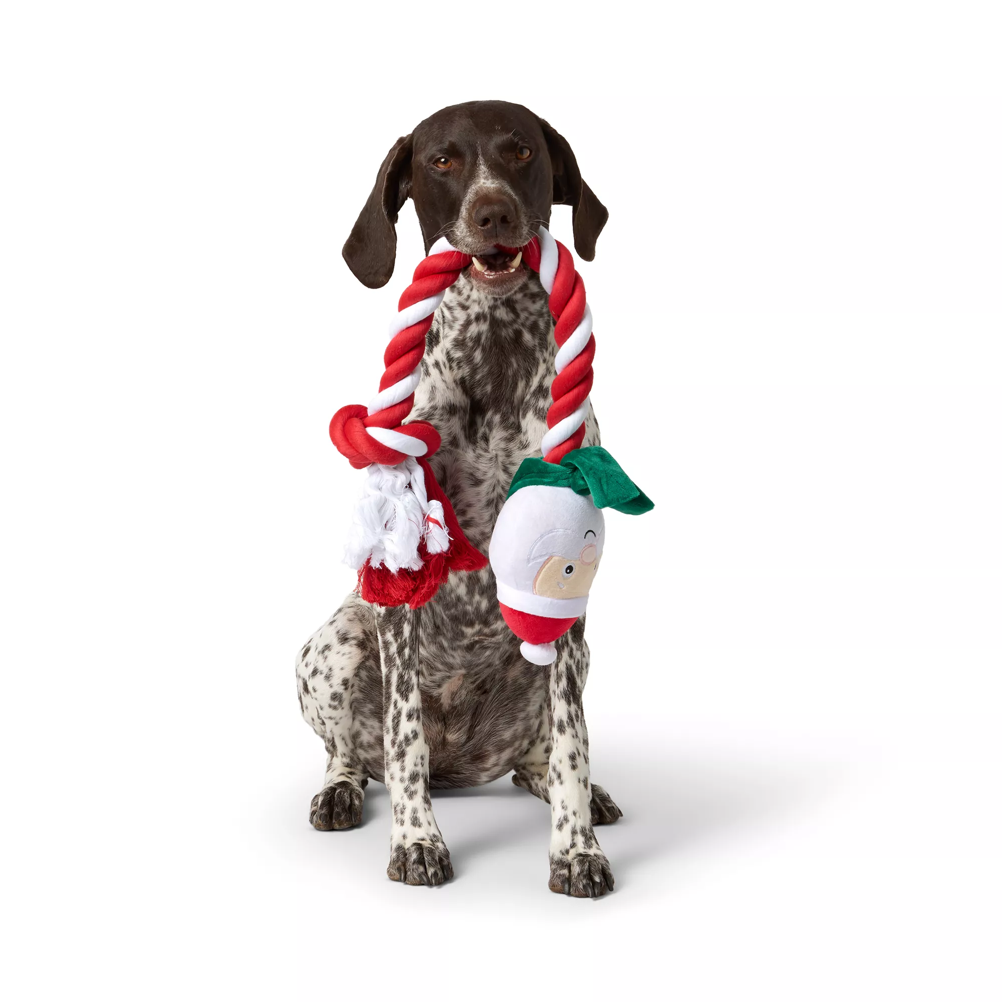 Merry & Bright Santa Rope Dog Toy