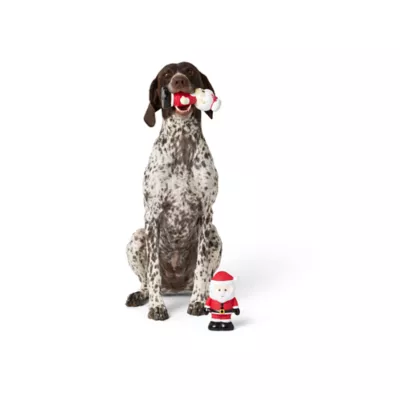 Product Merry & Bright Vinyl Dog Toys 2 Count