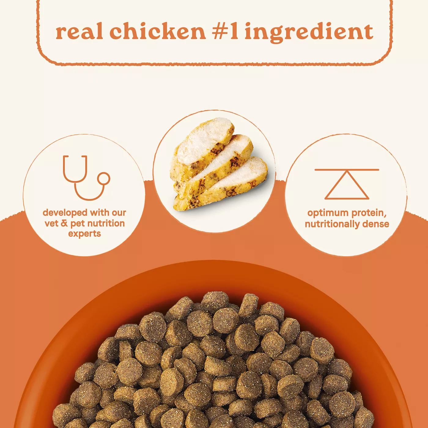 Best dry dog food for all life stages sale