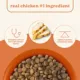 Product Canidae All Life Stages Dry Dog Food - Chicken & Ancient Grains