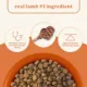 Product Canidae All Life Stages Dry Dog Food - Lamb & Ancient Grains