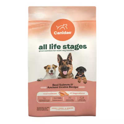 Product Canidae All Life Stages Dry Dog Food - Salmon & Ancient Grains