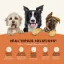 Canidae All Life Stages Dry Dog Food - Salmon & Ancient Grains image thumbnail 4