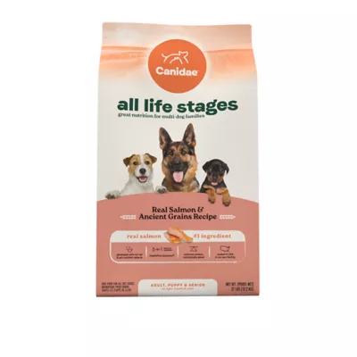 Product Canidae All Life Stages Dry Dog Food - Salmon & Ancient Grains