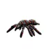 TUFFY® Desert Themed Dog Toy- Tarantula image thumbnail 1