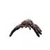 TUFFY® Desert Themed Dog Toy- Tarantula image thumbnail 4