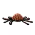 TUFFY® Desert Spider Dog Toy image thumbnail 1