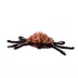 TUFFY® Desert Spider Dog Toy image thumbnail 3