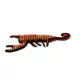 Product TUFFY® Desert Scorpion Dog Toy