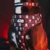 Sassy Woof STAR WARS™ The Rebel Alliance Adjustable Dog Collar image thumbnail 4