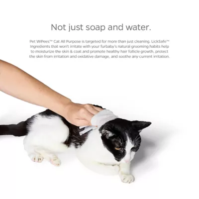 Product Pet Parents® Pet WiPees™ Cat Cleaning Wipes, Natural Scent