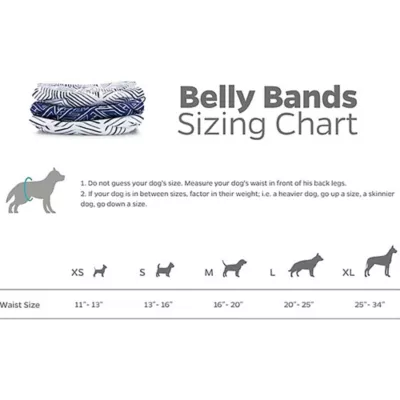 Pet Parents® Dog Belly Band, Kahuna - Includes 3 Belly Bands, 1 Extendrs® - Image 8