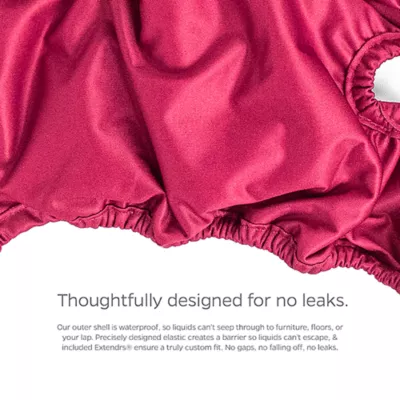 Pet Parents® Dog Diaper, Princess - Includes 3 Dog Diapers, 2 Extendrs® - Image 7