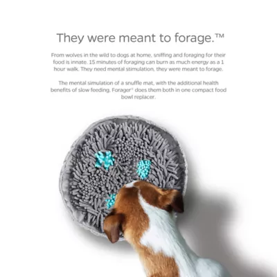 Pet Parents® Forager® SoftSnout® Snuffle Mat Slow Feeder Dog Bowl 9" - Image 4