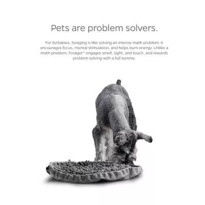 Product Pet Parents® Forager® SoftSnout® Snuffle Mat Slow Feeder Dog Bowl 9"