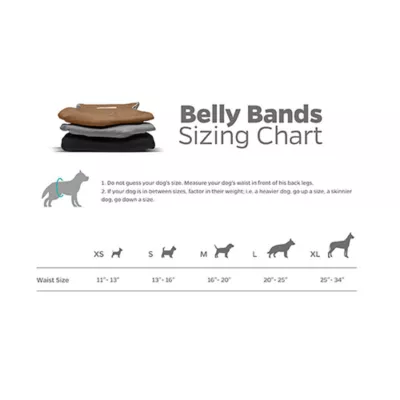 Pet Parents® Dog Belly Band, Natural - Includes 3 Belly Bands, 1 Extendrs® - Image 8