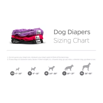 Pet Parents® Dog Diaper, Princess - Includes 3 Dog Diapers, 2 Extendrs® - Image 8
