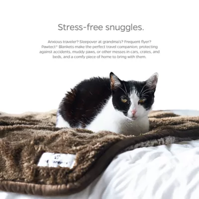 Product Pet Parents Pawtech Blanket Chocolate