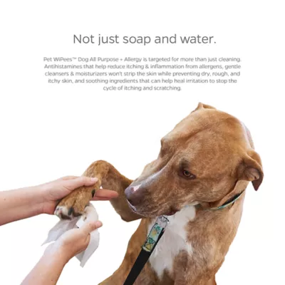 Product Pet Parents® Pet WiPees™ Dog Allergy Wipes, Calming Scent