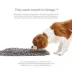 Pet Parents® Forager® SoftSnout® Snuffle Mat Slow Feeder Dog Bowl image thumbnail 4