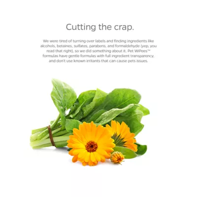 Pet Parents® Pet WiPees™ Dog Skin & Coat Wipes, Natural Scent - Image 4