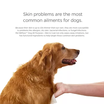 Product Pet Parents® Pet WiPees™ Dog Skin & Coat Wipes, Calming Scent
