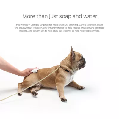Product Pet Parents® Pet WiPees™ Gland Wipes, Natural Scent