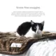 Product Pet Parents Pawtech Blanket Chocolate