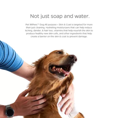 Product Pet Parents® Pet WiPees™ Dog Skin & Coat Wipes, Natural Scent