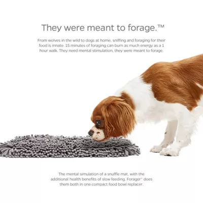 Product Pet Parents® Forager® SoftSnout® Snuffle Mat Slow Feeder Dog Bowl