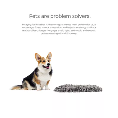 Product Pet Parents® Forager® SoftSnout® Snuffle Mat Slow Feeder Dog Bowl