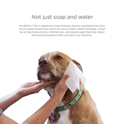 Product Pet Parents® Pet WiPees™ Pet Ear Cleaning Wipes, Natural Scent