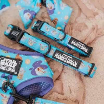 Sassy Woof STAR WARS™ The Mandalorian Adjustable Dog Collar - Image 4