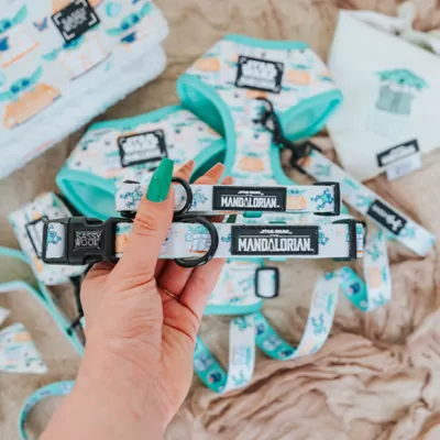 Sassy Woof Star Wars The Child Adjustable Dog Collar - Image 4