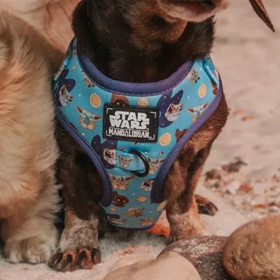 Product Sassy Woof Star Wars The Mandalorian Adjustable Dog Harness