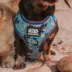 Sassy Woof Star Wars The Mandalorian Adjustable Dog Harness image thumbnail 4