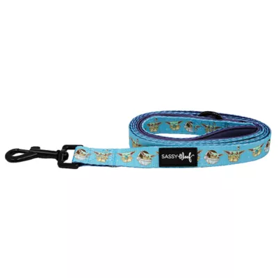 Product Sassy Woof Star Wars The Mandalorian Adjustable Dog Leash
