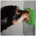 Nice Paws Dog Shape Lick Pad - Silicone image thumbnail 3